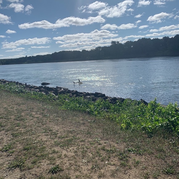 Meet your Posher, Amanda - Picture 1 of 1